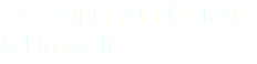 Beratung zu Effizienz & Umwelt